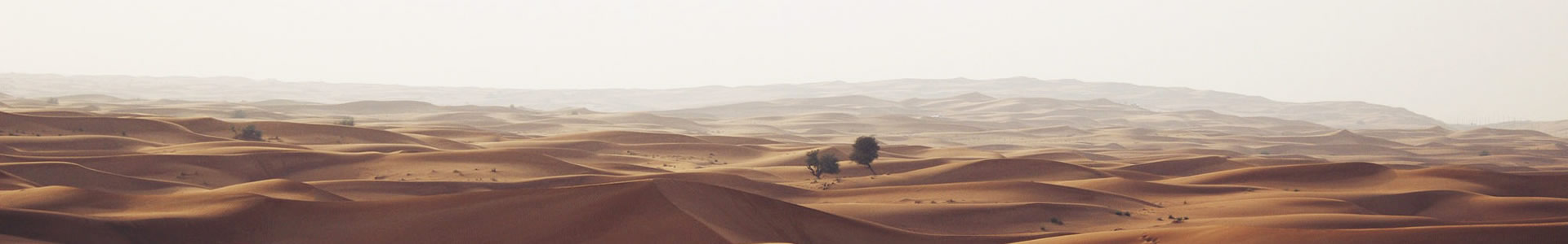 ɽĶƼ޹˾